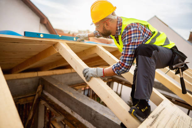 Roof Gutter Cleaning in Taylor, TX